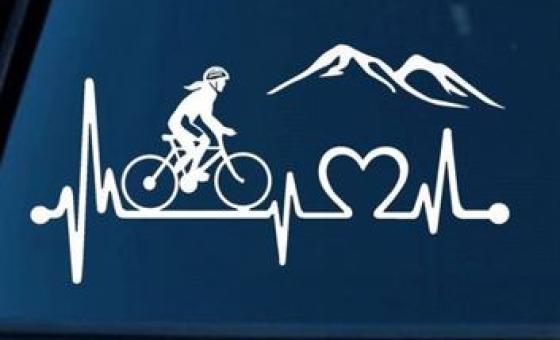 Image pour les actualités CBL de l'activité VTT 