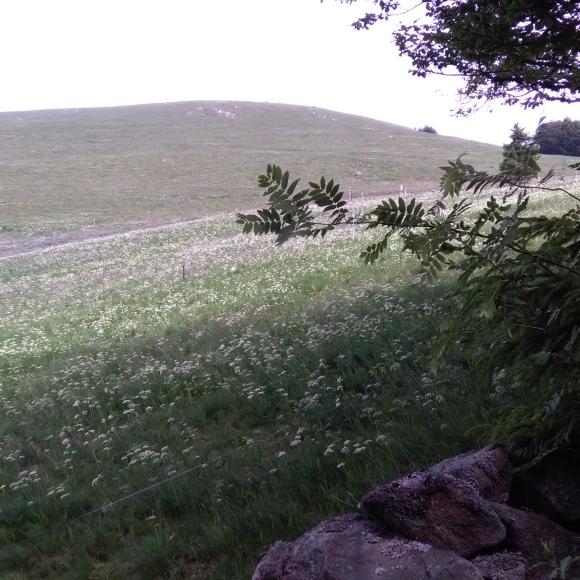 paysage du Hilsen