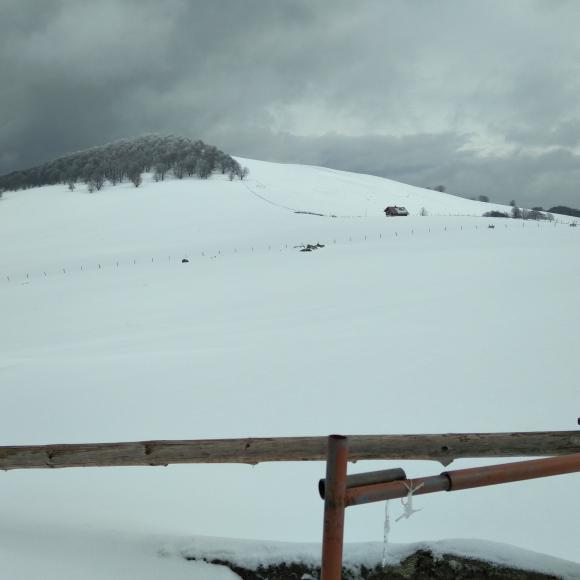 paysage enneigé