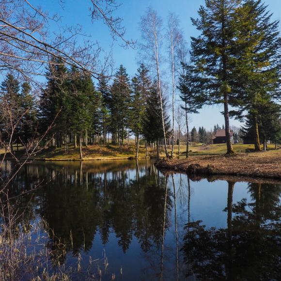 Plateau des 1000 etangs