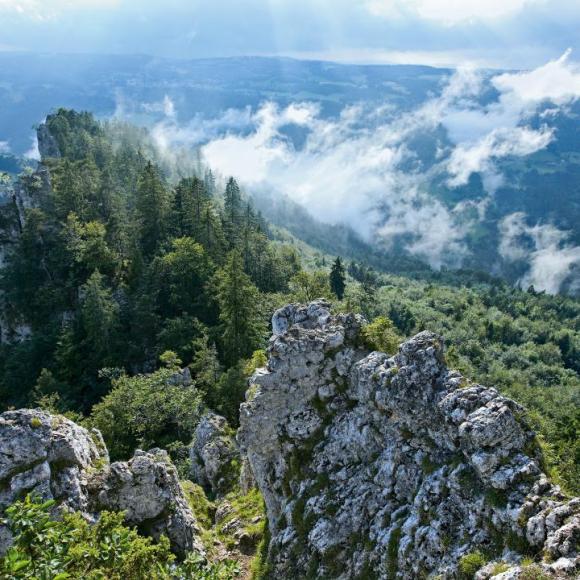 Roche des Sommêtres Noirmont Jura Suisse