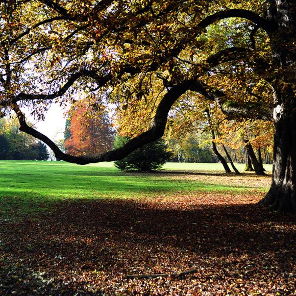 Parc des Cèdres Beaucourt