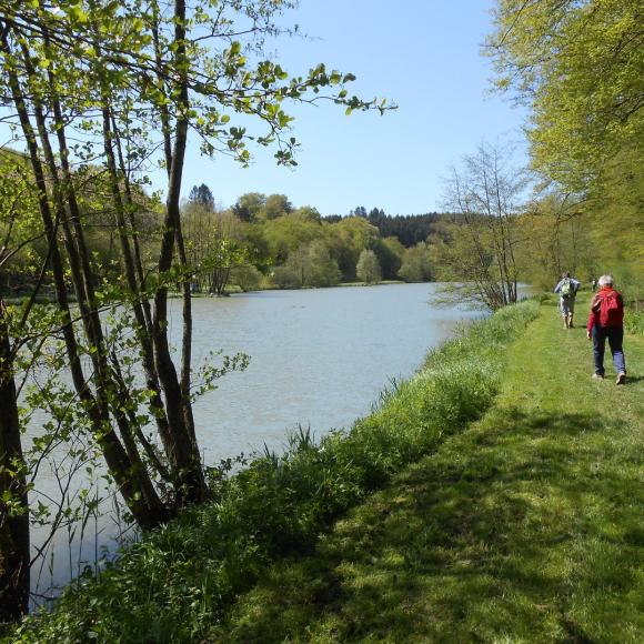 Etangs des princes
