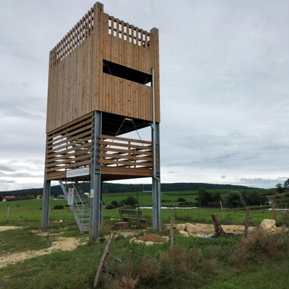 Tour d'observation des oiseaux