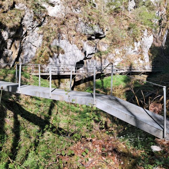 Passerelle combe Biaufond