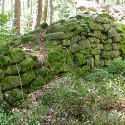 Mur païen Ribeauvillé