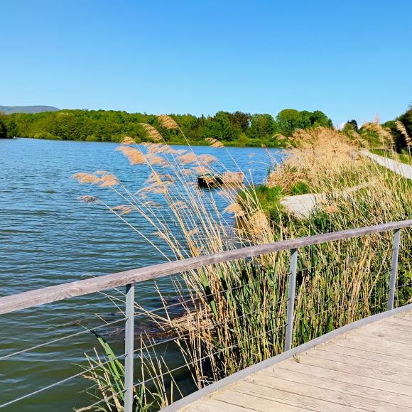 L'étang de la Veronne