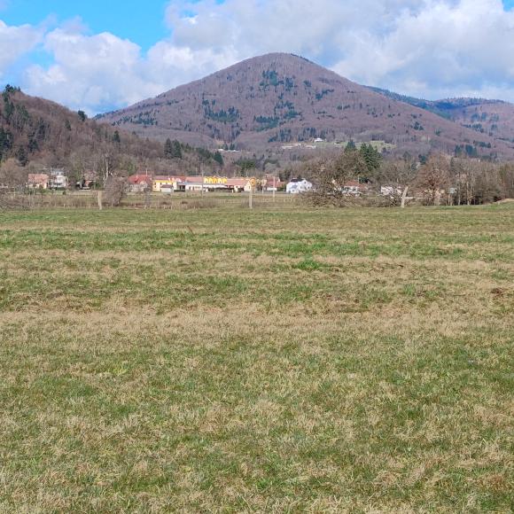 Le Fayé vu d'Anjoutey 