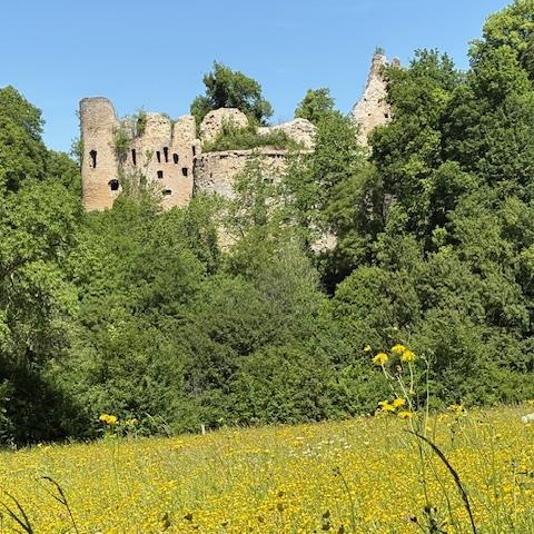 Château de Morimont
