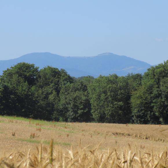 Chavannes sur l'étang vue sur les Vosges