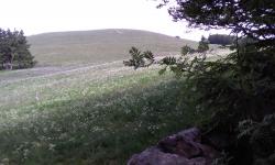 paysage du Hilsen