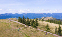 Sommet du Petit Ballon