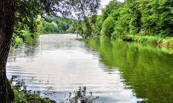 Etang des Princes