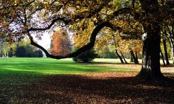 Parc des Cèdres Beaucourt