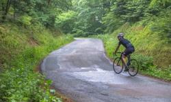 Montée du Salbert