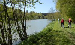 Etangs des princes