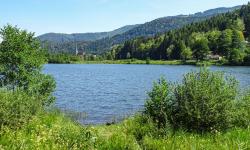 Lac naturel de Sewen