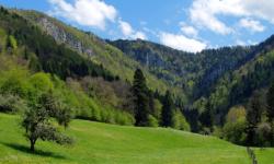 Combe du Chateau