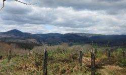 Panorama des Hauts d'Anjoutey, le mont Faré