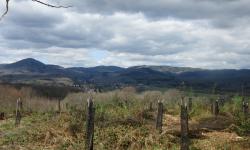 Les Hauts d'Anjoutey: panorama sur les Vosges saonoises