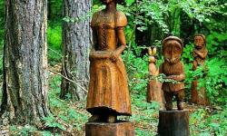 forêt enchantée à Boncourt sentier des faignes