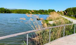 L'étang de la Veronne