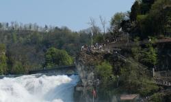 Chutes du Rhin  pour inscription 