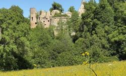 Château de Morimont