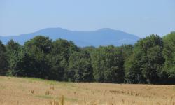 Chavannes sur l'étang vue sur les Vosges