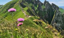 Puy de Sancy