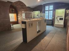 Musée Histoire de Belfort : Secteur Archéologie 