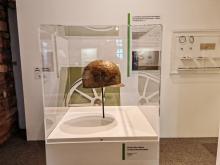Musée Histoire de Belfort : casque italo-celtique pièce rare 