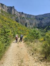 Cirque de Tournemire avec ses falaises d'une hauteur imposante, le cirque s'étend sur une surface d'environ 130 hectares