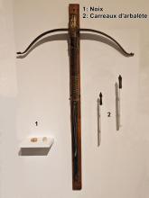 Musée Histoire de Belfort : Noix et carreaux d'arbalète trouvés lors des fouilles du château de Rougemont-Le-Château