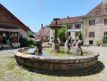 Vaufrey: la fontaine aux lions
