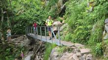 Sentier des roches