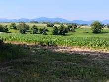 Notre dame de Bellefontaine: panorama sur les Vosges
