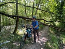 Quelques arbres