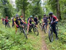 Traversée de belles forêts