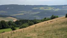 Point de vue du Montaigu