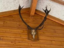 Auxelles bas: chalet des chasseurs et son trophée