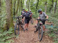 Beau sentiers dans les bois