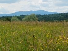 Les Vosges Saônoises
