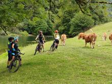 Roulage en de bonne compagnie