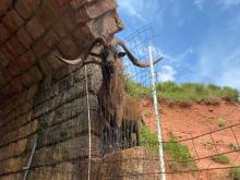 Fort Dosner: le gardien!!!