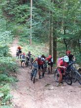 Bois de l'Arsot