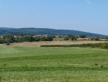 Au travers des forêts et patûres