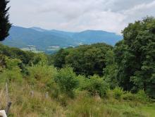La ferme auberge du Bruckenwald: Panorama sur la vallée de Maseveaux
