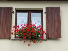 La ferme auberge du Bruckenwald:  même les rideaux!!!