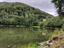 Le Lachtelweiher